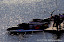 Saint Petersburg-July 11, 2010- The Race of Russia's GP. The winner is Sami Selio Mad Croc Team, second Alex Carella of Mad Croc Team and third Jay Price of Qatar Team. This GP is the 2st race of the UIM F1 Powerboat Grand Prix season for 2010. Picture by Vittorio Ubertone/Idea Marketing Saint Petersburg-July 11, 2010- The Race of Russia's GP. The winner is Sami Selio Mad Croc Team, second Alex Carella of Mad Croc Team and third Jay Price of Qatar Team. This GP is the 2st race of the UIM F1 Powerboat Grand Prix season for 2010. Picture by Vittorio Ubertone/Idea Marketing