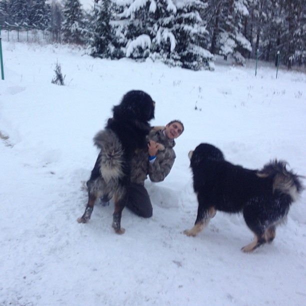 Виталий Петров со своими собаками 9 декабря 2012