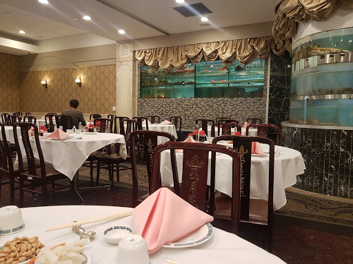 Chinese Restaurant «Mayflower», reviews and photos, 428 Barber Ln, Milpitas, CA 95035, USA