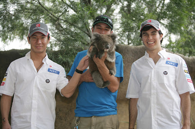 Камуи Кобаяши и Серхио Перес с коалой в мельбурнском зоопарке перед Гран-при Австралии 2012