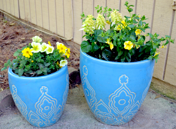after - adding color to the back yard