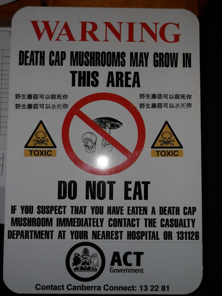 death cap signs