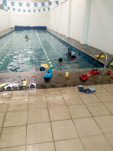 Aquatic Club, Riva Palacio 282, San Isidro, Alvaro Obregon, 52105 San Mateo Atenco, Méx., México, Piscina | EDOMEX
