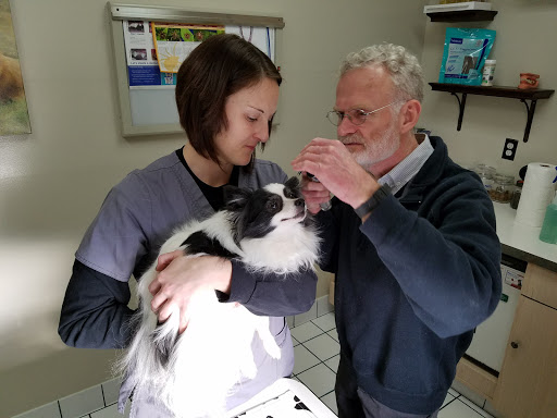 Veterinarian «Ashburn Veterinary Hospital», reviews and photos