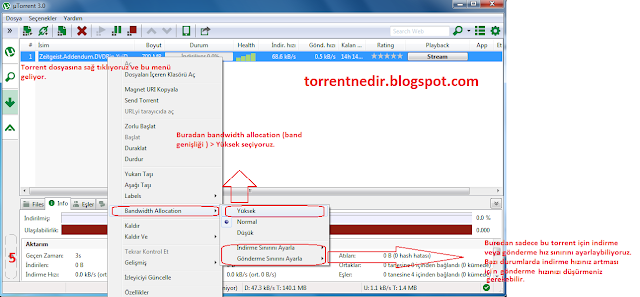 download torrentte download torrentte