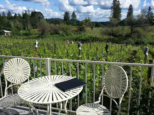 Winery «Montoliva Vineyard & Winery», reviews and photos, 15629 Mt Olive Rd, Grass Valley, CA 95945, USA