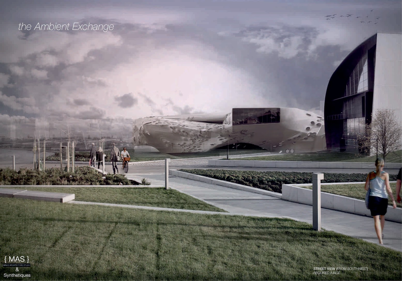 Synthetiques and minus Architecture studio {MAS}
