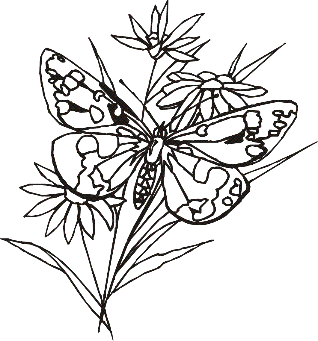 Butterfly Coloring Pages