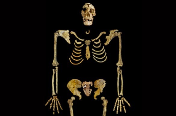 35,000-year-old skeleton to return to Egypt 35,000-year-old skeleton to return to Egypt