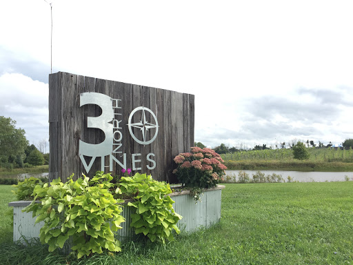 Vineyard «3 North Vines», reviews and photos, 5940 Peck Rd, Croswell, MI 48422, USA