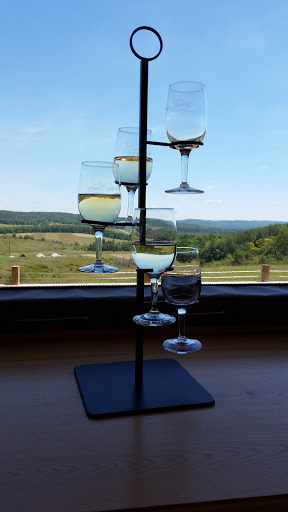 Winery «Petoskey Farms Vineyard & Winery», reviews and photos, 3720 Atkins Rd, Petoskey, MI 49770, USA