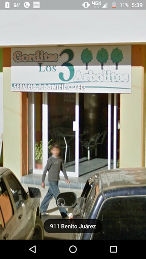 Gorditas Los 3 Arbolitos, 34420, José Ramón Valdez 309, Zona Centro, Nuevo Ideal, Dgo., México, Restaurante | DGO