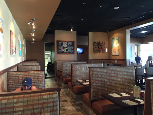 Bar & Grill «Rumba Island Bar & Grill», reviews and photos, 3687 Tampa Rd, Oldsmar, FL 34677, USA