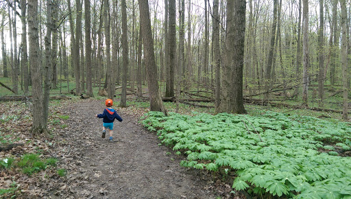 Nature Preserve «Scio Woods Preserve», reviews and photos, Scio Church Rd, Ann Arbor, MI 48103, USA