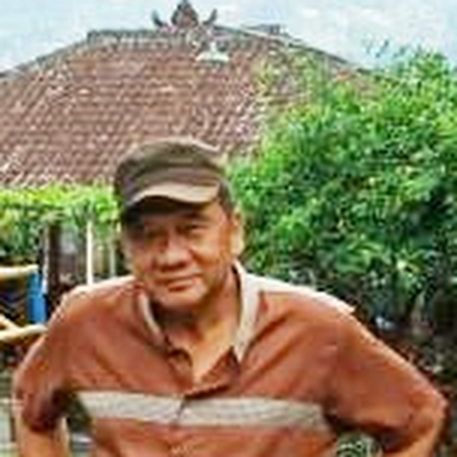 herbal dan alat herbal kapsul daun afrika selatan diabet herbal dan alat herbal kapsul daun afrika selatan diabet