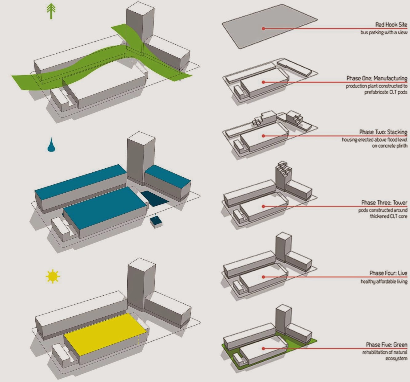 Grow Your Own City Wins Timber in the