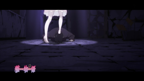 拡大 1356963807983.jpg