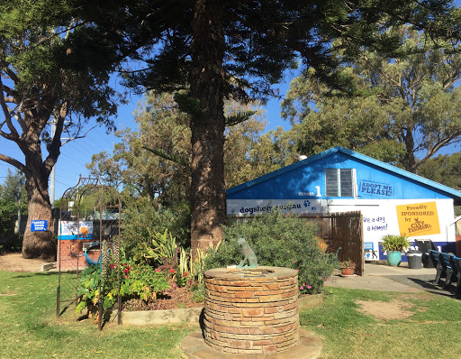 Dogs Refuge Home