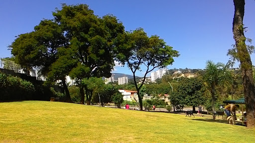Pracinha dos Dogs, R. Prof. Sebastião Augusto de Miranda, 210 - Jardim Primavera, Jundiaí - SP, 13209-720, Brasil, Parque, estado São Paulo