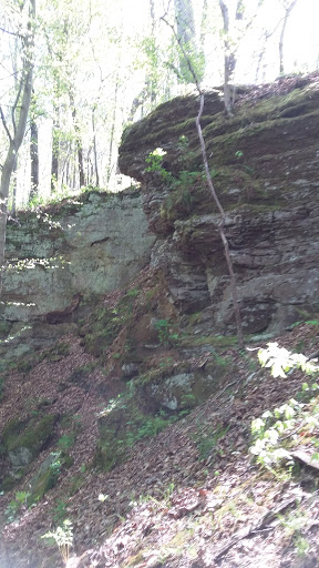 Nature Preserve «Fern Cliff Nature Preserve», reviews and photos, W County Rd 375 S, Greencastle, IN 46135, USA