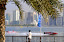 Sharjah-UEA- 10 december 2009-Thani Al Qamzi Abu Dhabi Team and Pierre Lundin Chian CTIC Woodstock at the Timed Trals for Race 1 of the F1 Grand Prix in the Khaleed Lagoon. This GP is the 8th leg of the UIM F1 Powerboat World Championships 2009. Picture by Vittorio Ubertone/Idea Marketing Sharjah-UEA- 10 december 2009-Thani Al Qamzi Abu Dhabi Team and Pierre Lundin Chian CTIC Woodstock at the Timed Trals for Race 1 of the F1 Grand Prix in the Khaleed Lagoon. This GP is the 8th leg of the UIM F1 Powerboat World Championships 2009. Picture by Vittorio Ubertone/Idea Marketing