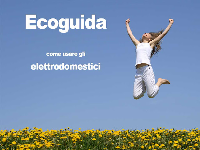 Eco Guida Elettrodomestici