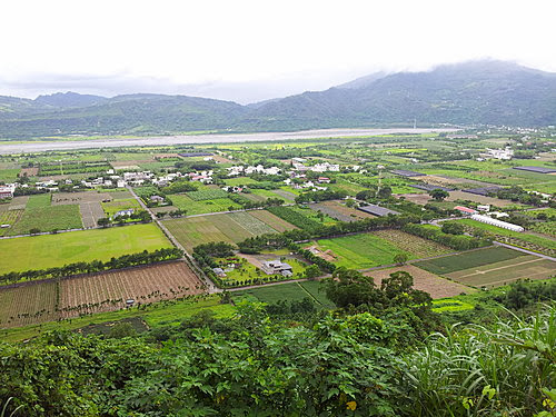 台東 鹿野 高台 下望景觀 (1)