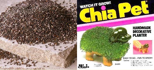 Eat Your Chi Chi Chi Chia..........