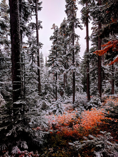 National Park «North Cascades National Park», reviews and photos