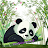 PandaLover34