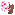 honoré
