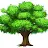 Tree McTreeface