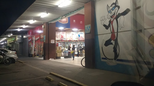 LA GRAN BODEGA, Calle Mujica 6, Centro, 74000 San Martín Texmelucan de Labastida, Pue., México, Supermercado | PUE