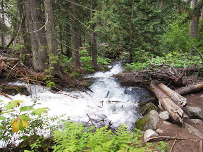 Snow Creek along the trail