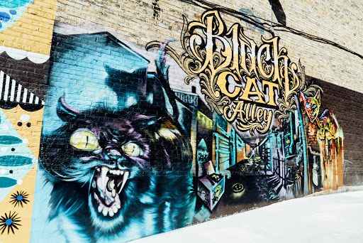 Tourist Attraction «Black Cat Mural Alley», reviews and photos, N Farwell Ave, Milwaukee, WI 53202, USA