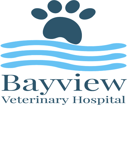 Veterinarian «Bay View Veterinary Hospital», reviews and photos