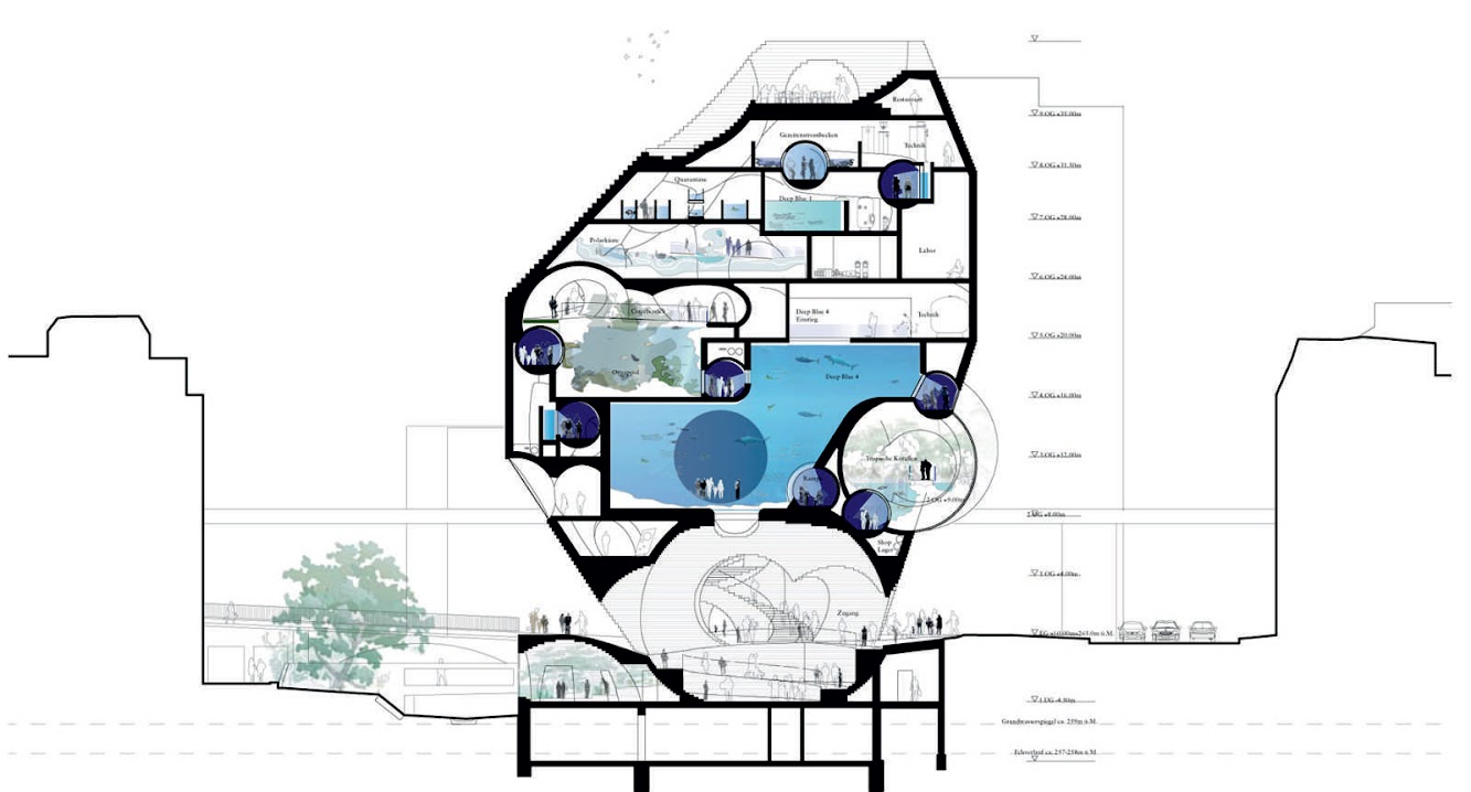 HHF And Burckhardt+Partner