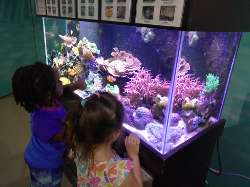 Aquarium «St. Lucie County Aquarium», reviews and photos, 420 Seaway Dr, Fort Pierce, FL 34949, USA