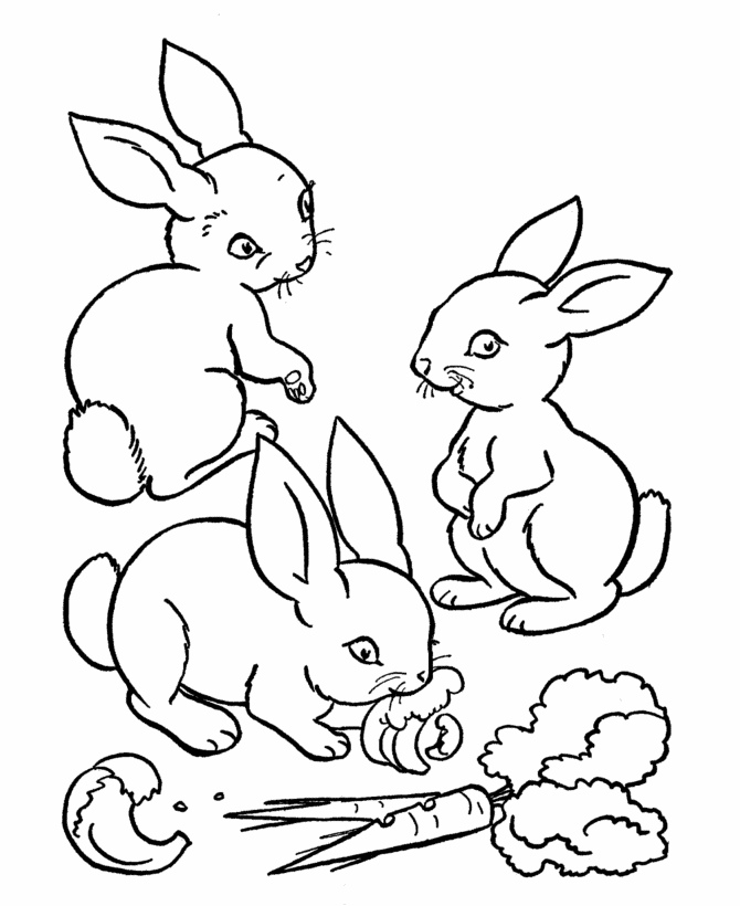 coloring pages of bunnies - Easter Coloring Pages Free Coloring Pages