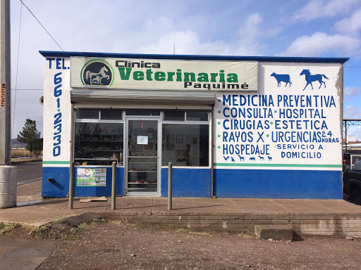 Clínica Veterinaria Paquimé, Naciones Unidas 3511, Jaramillo, 31758 Nuevo Casas Grandes, Chih., México, Hospital veterinario | CHIH