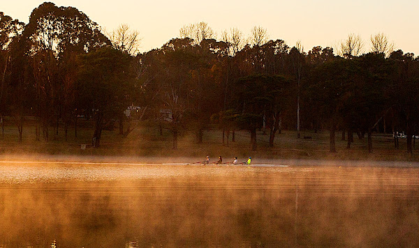 rowers on Lake Burley Griffin