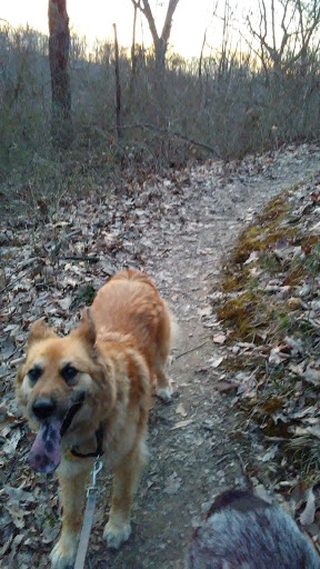 Nature Preserve «Jefferson Memorial Forest», reviews and photos, 11311 Mitchell Hill Rd, Fairdale, KY 40118, USA