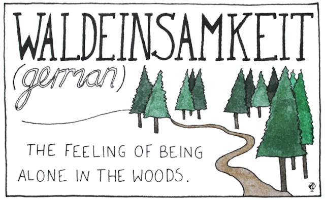 Waldeinsamkeit