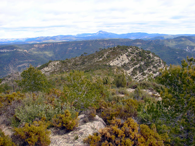 senderismo - Cirat - Campero - Arañuel