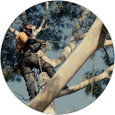 Tree Access Pty Ltd Tree Access Pty Ltd