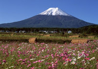 Esta primavera y los fuertes aspectos que se avecinan El monte Fuji en primavera