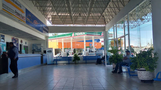 Terminal de Autobuses, Michoacán 123, México, 47270 Encarnación de Díaz, Jal., México, Servicio de transporte | JAL