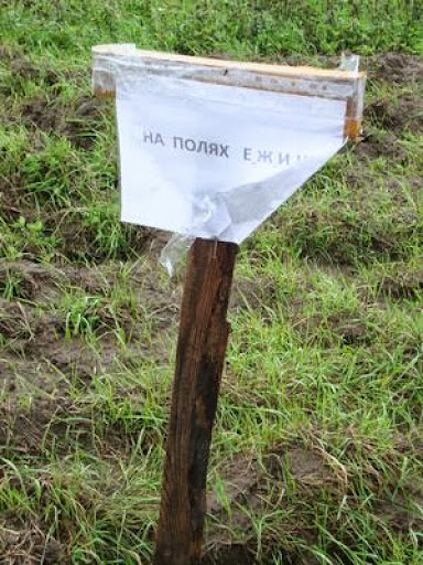 Еж для прокола шин