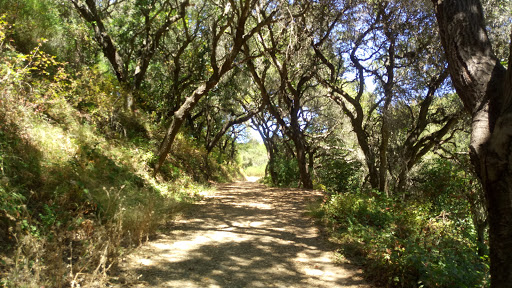 Nature Preserve «Leona Canyon Regional Open Space Preserve», reviews and photos, Leona Trail, Oakland, CA 94605, USA