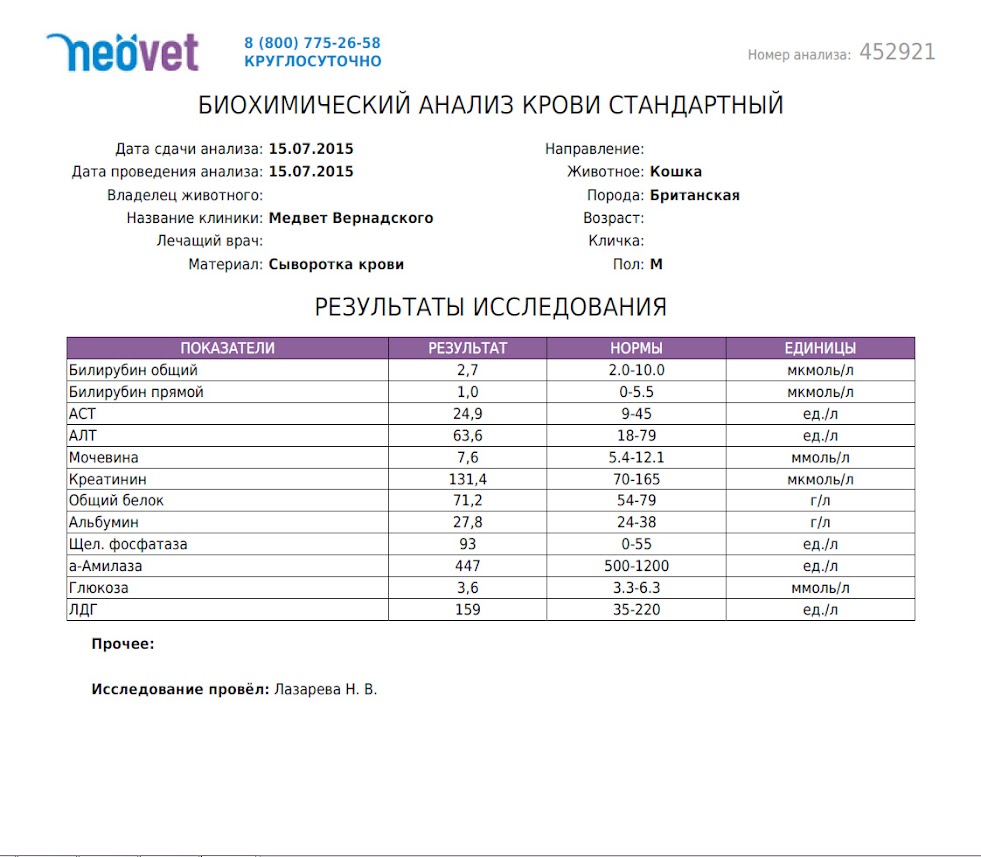 Билирубин связанный в анализе крови Билирубин связанный в анализе крови